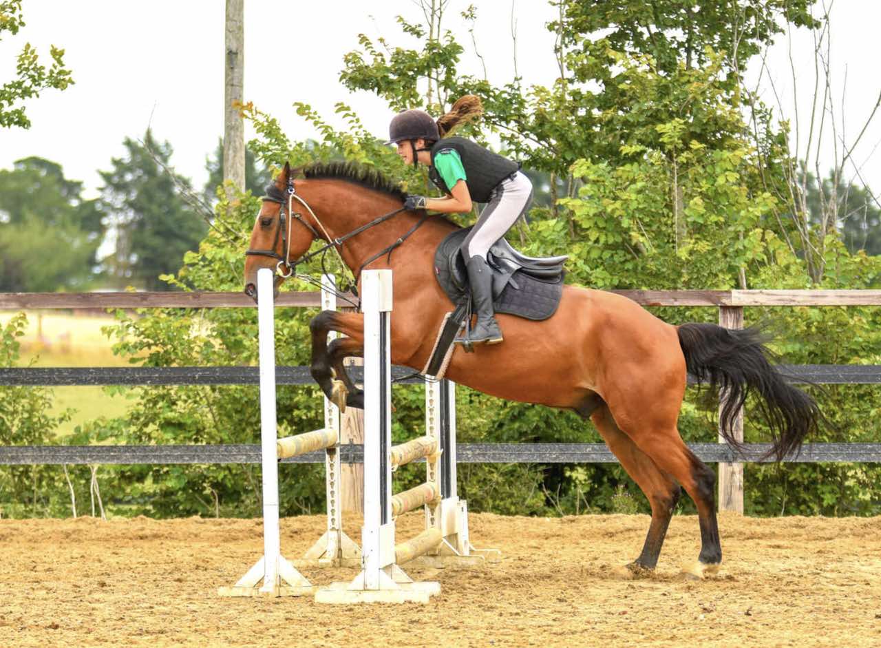 ICE - Séjour linguistique Equitation en Irlande pour 11-17 ans