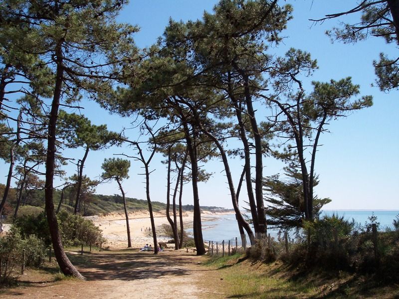 Plage de vendée