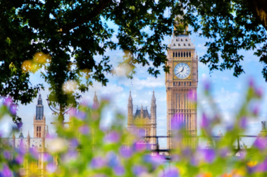 The English Studio : Séjours Linguistiques à Londres pour Parent(s) + Enfant(s)