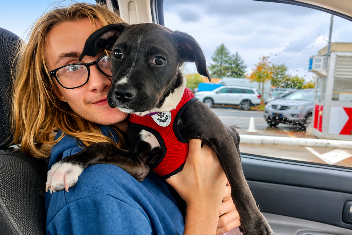 BLOOMFIELD